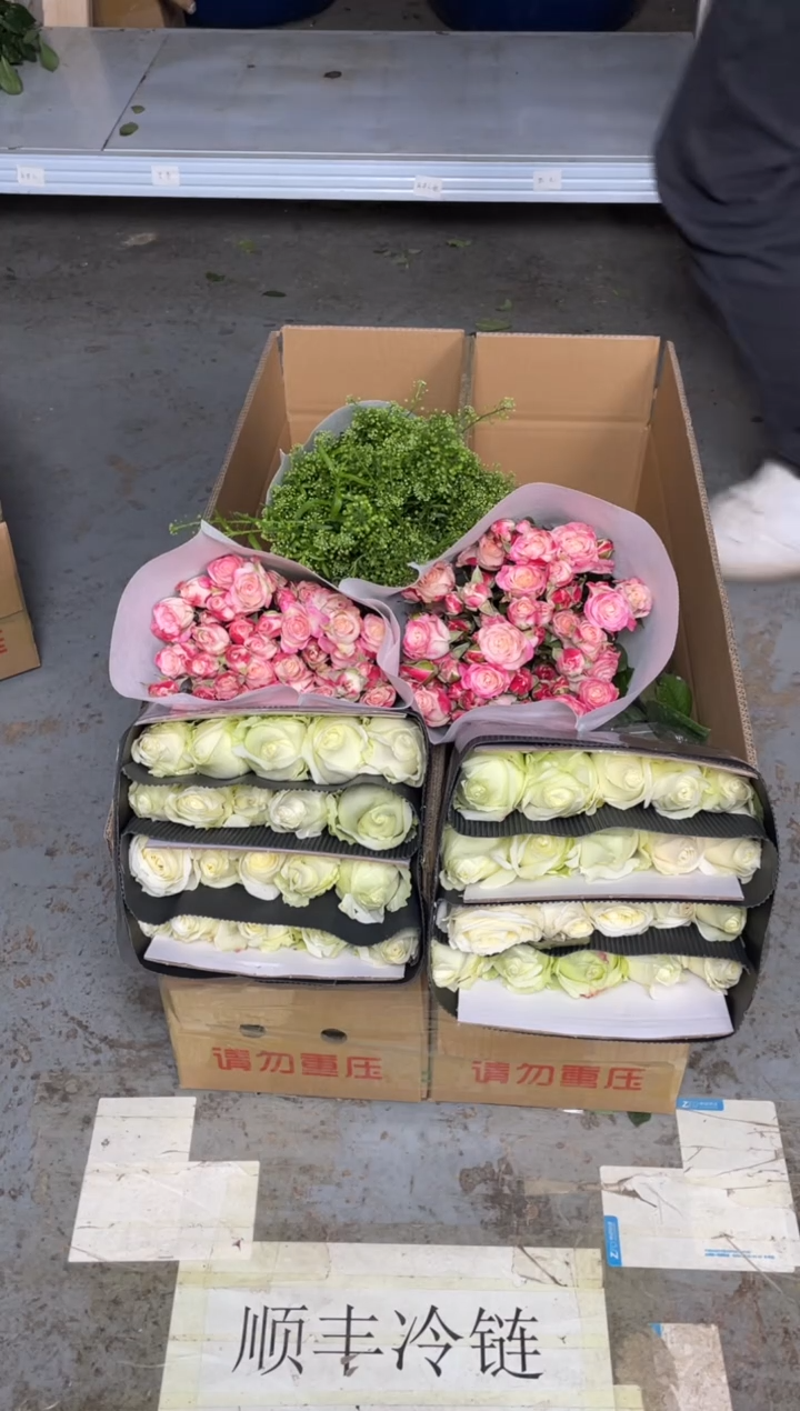 白雪山20枝+折射10枝+绿林草