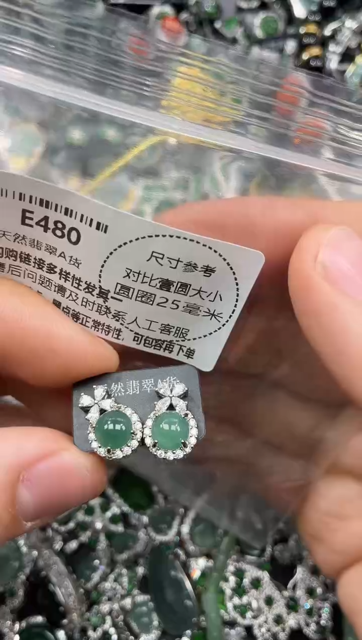 颈饰未镶嵌翡翠E480耳钉