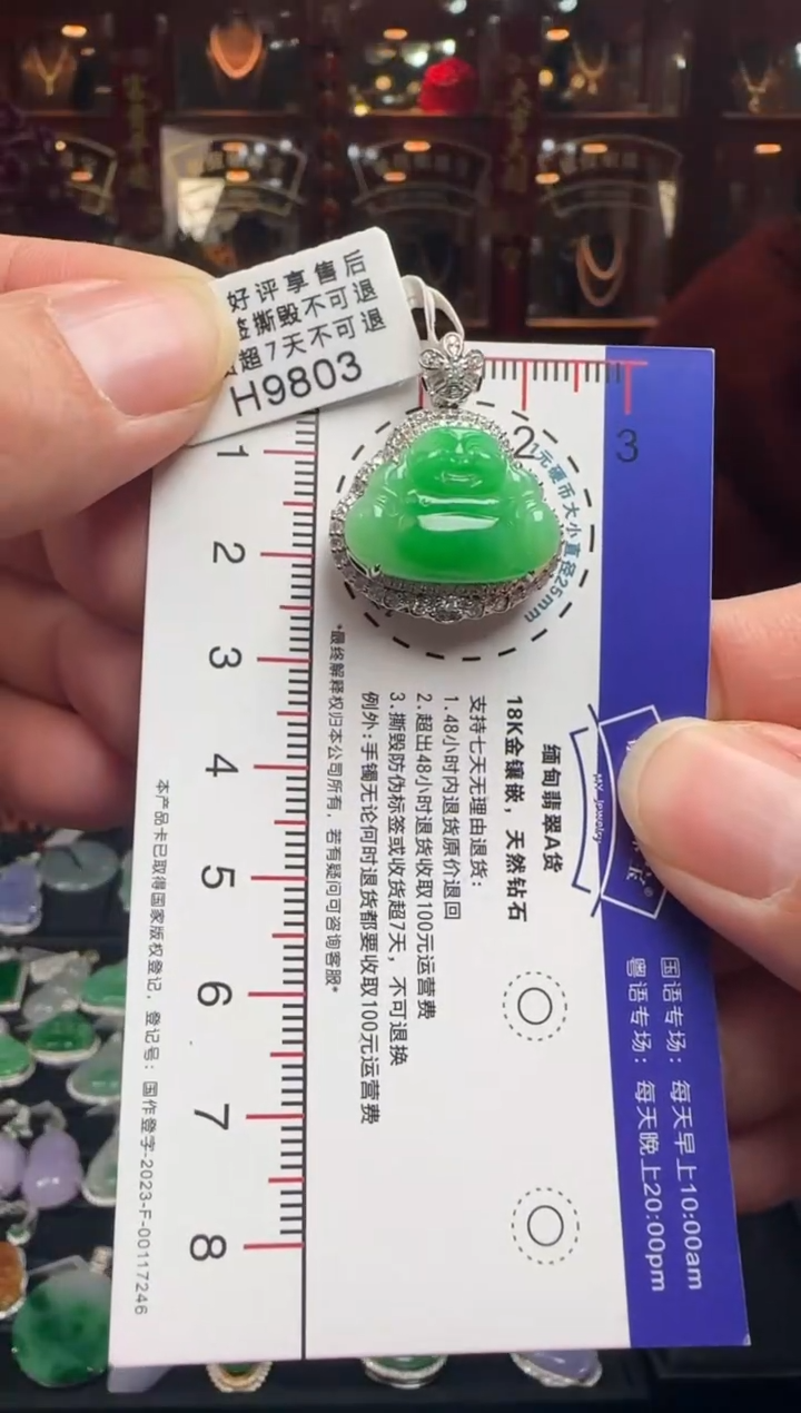 【闪购商品】翡翠颈饰18K金镶嵌H9803 冰绿佛公