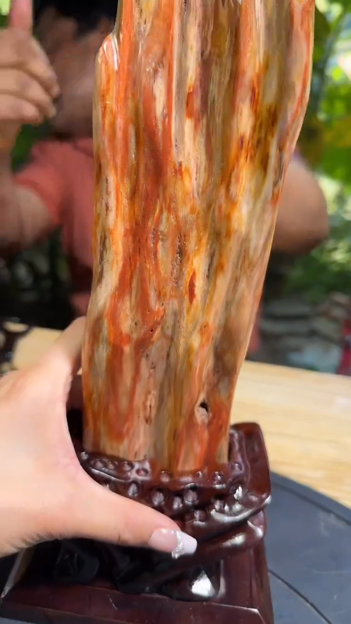 【闪购商品】硅化玉珠宝奇石未镶嵌拍一发一