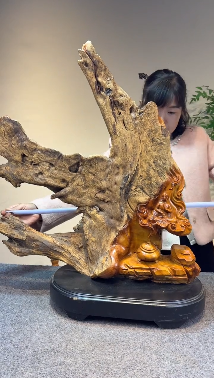 木B****S崖柏崖柏崖柏