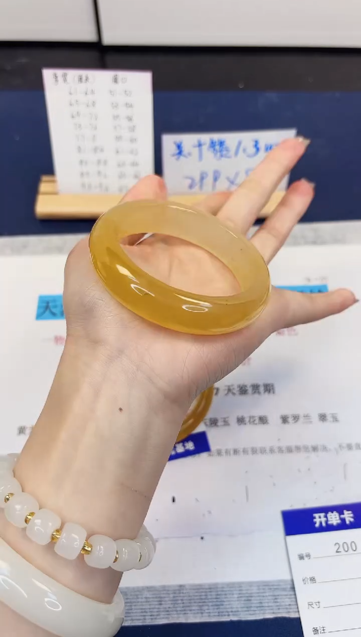 【闪购商品】石英质玉手镯未镶嵌200-财气镯-圈口57