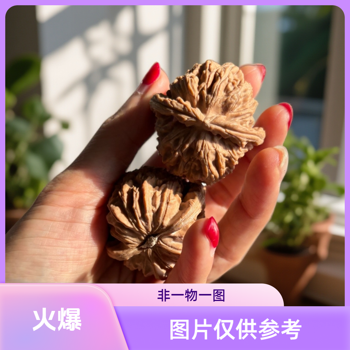 40尺白狮子文玩核桃适合把玩收藏