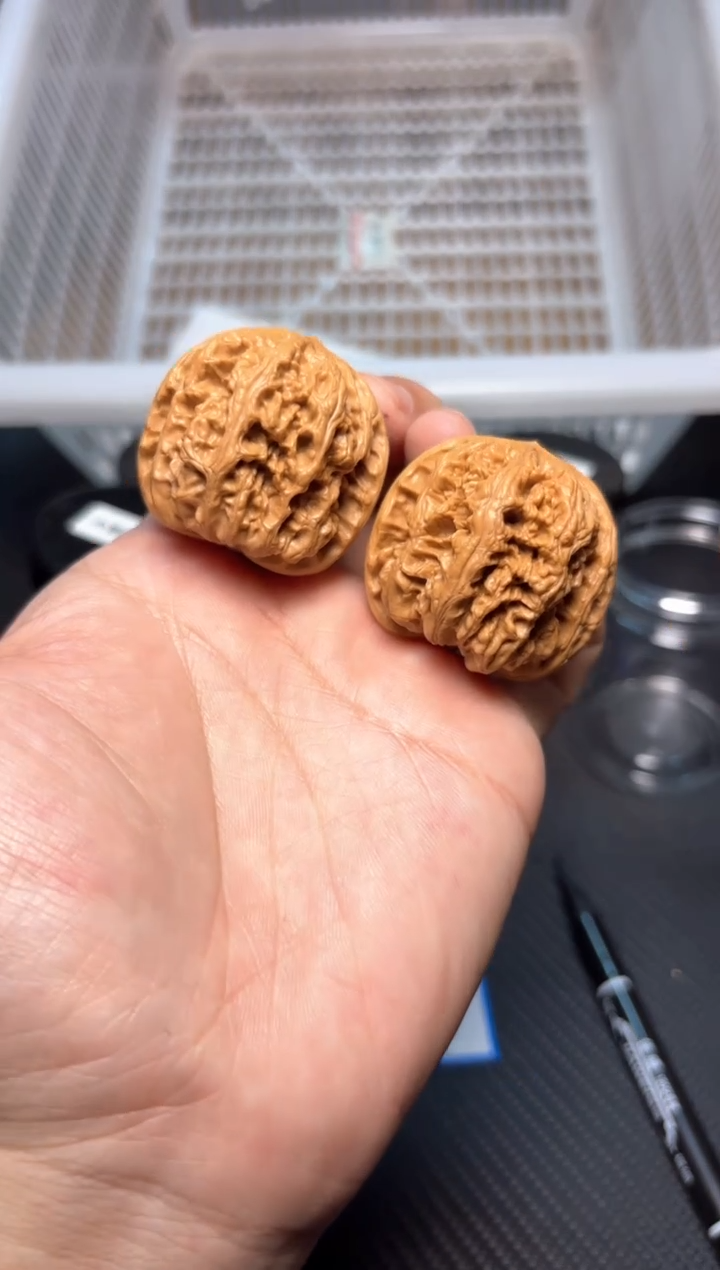 文玩核桃把件159大粗筋38-40打好底