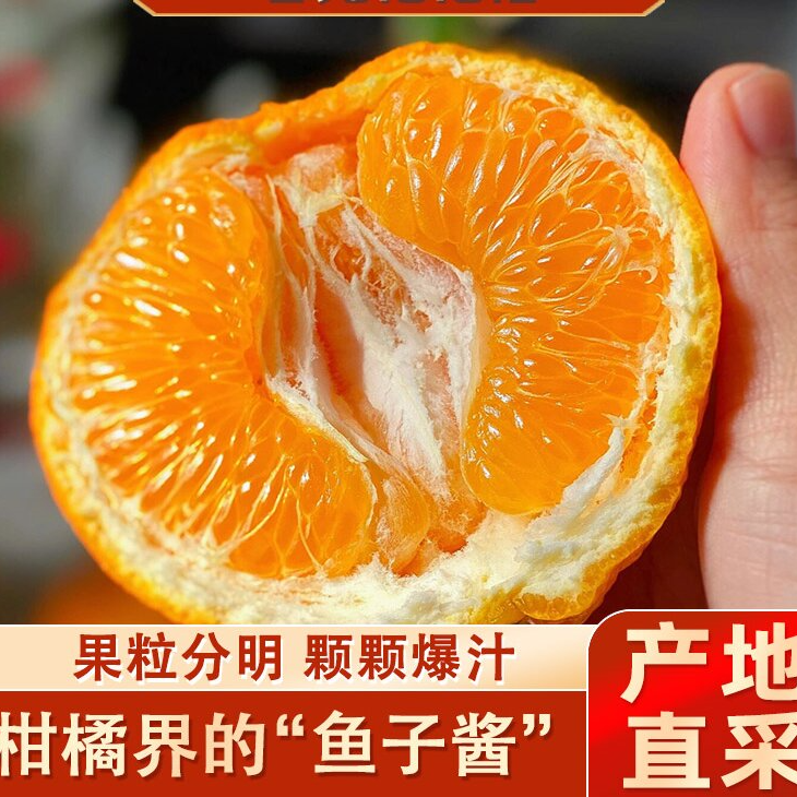 正宗四川春见耙耙柑 粒粒爆汁纯甜柑橘子丑橘新鲜产地直发