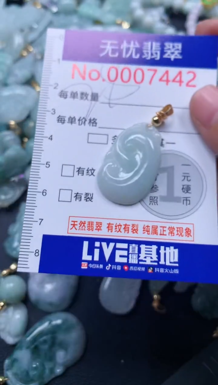 颈饰未镶嵌翡翠7442