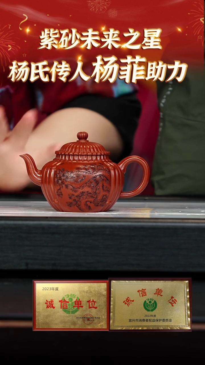 【闪购商品】紫砂茶壶108 杨菲老师专场  