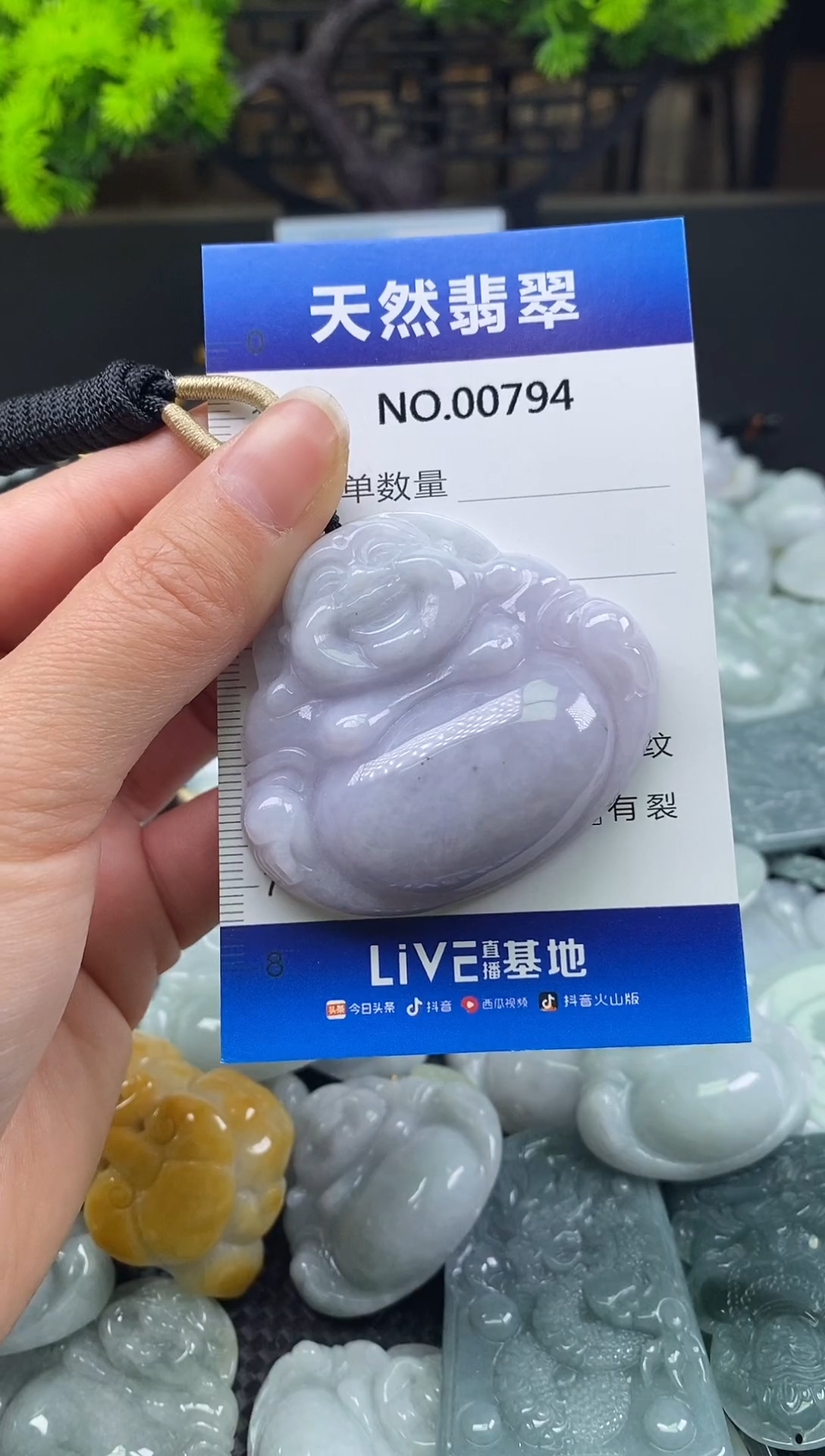 颈饰未镶嵌翡翠天然缅甸翡翠794