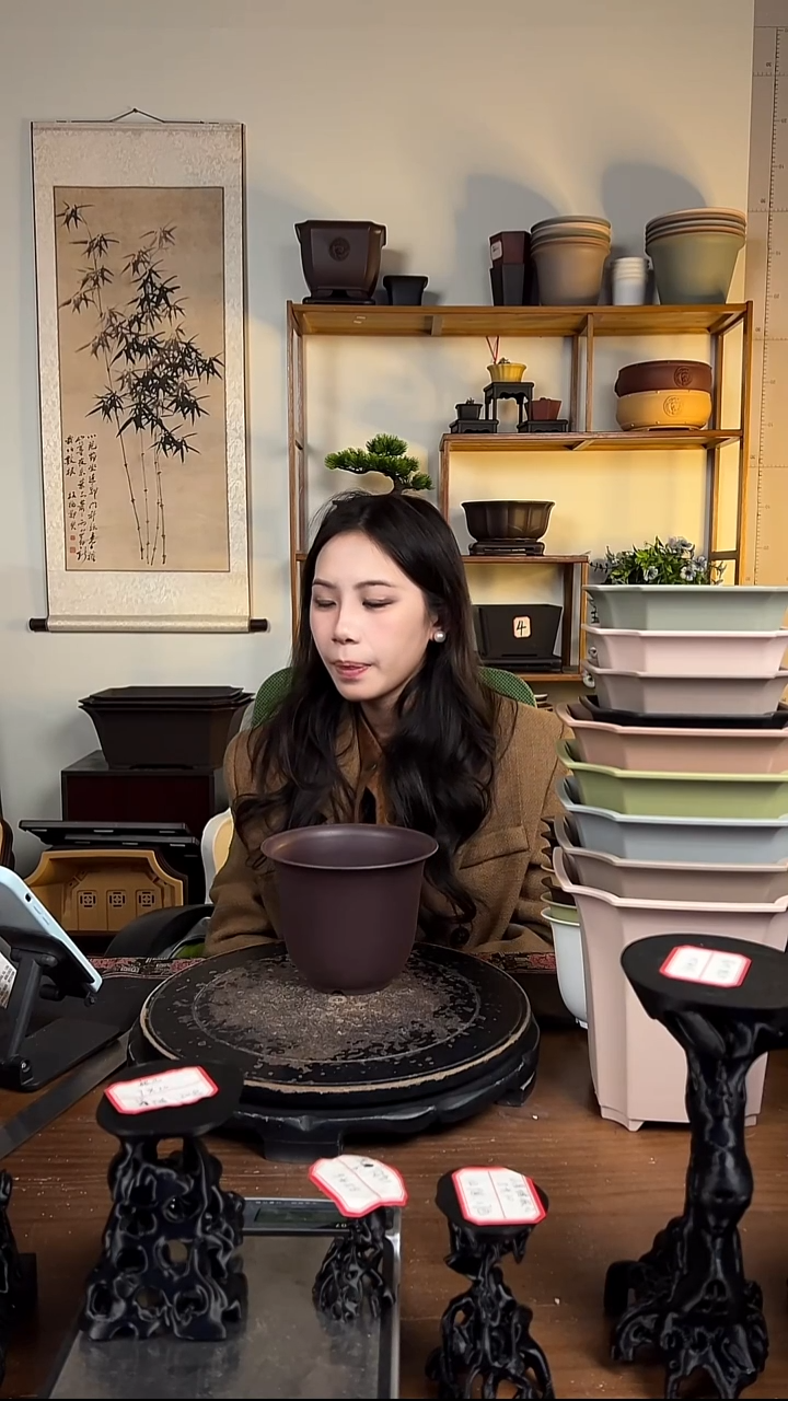 10只15口径金钟紫檀色