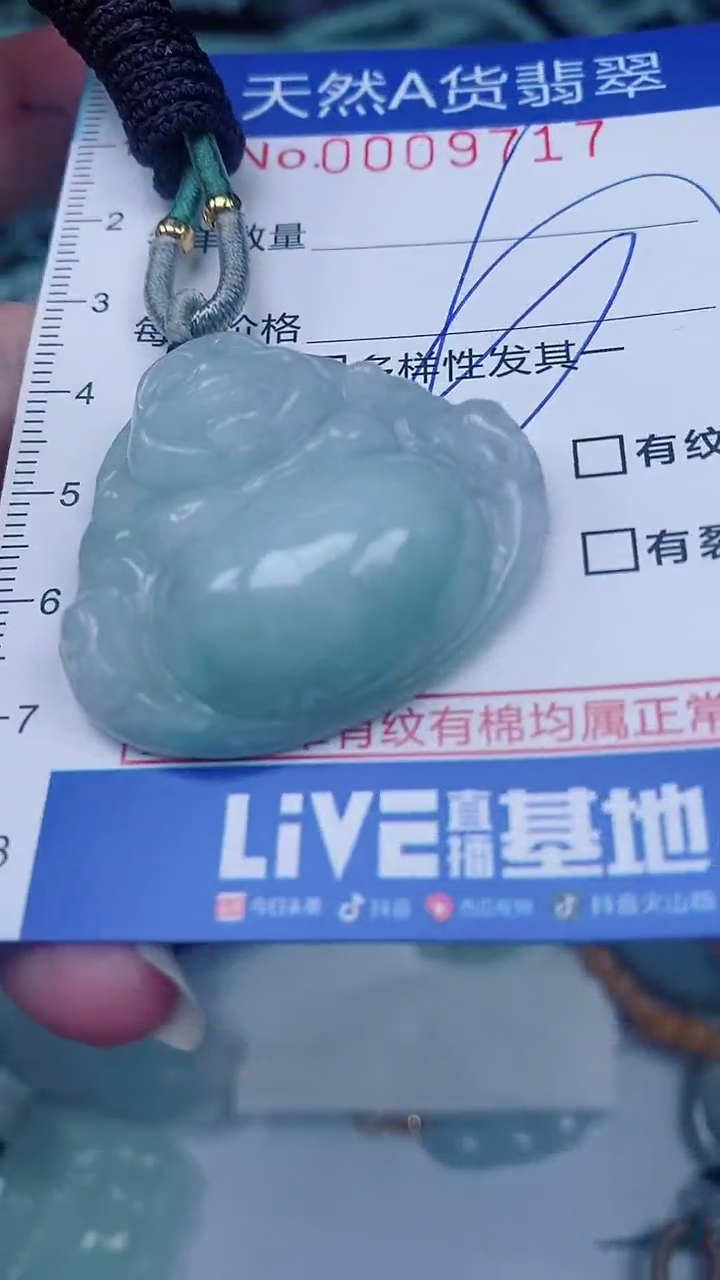 翡翠未镶嵌颈饰00009717