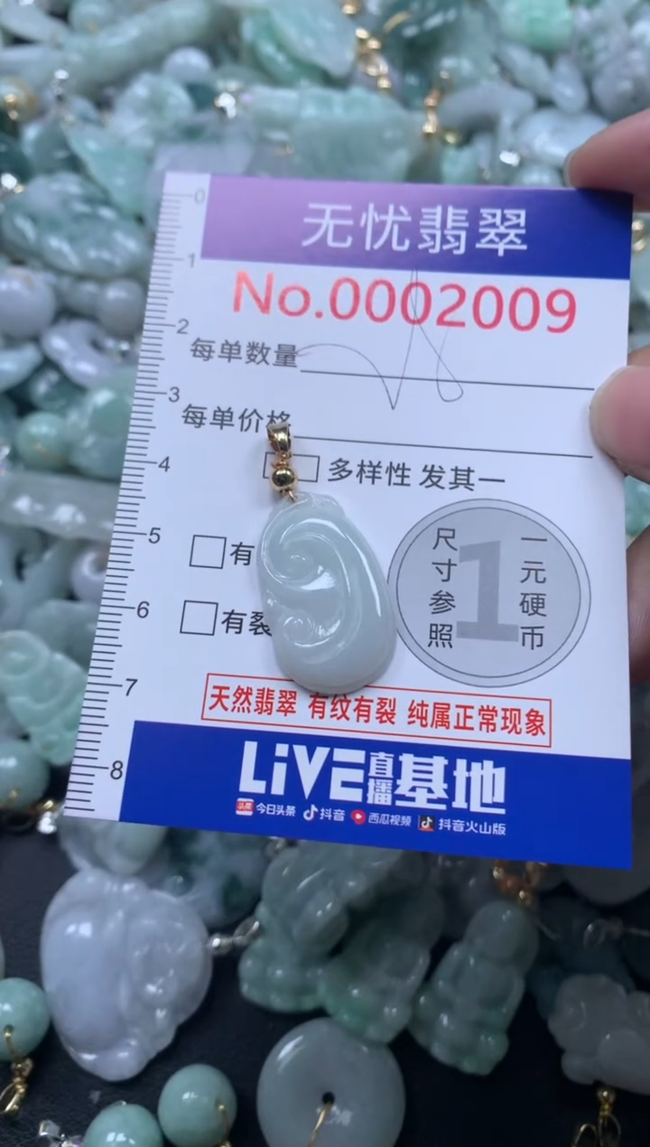 颈饰未镶嵌翡翠2008