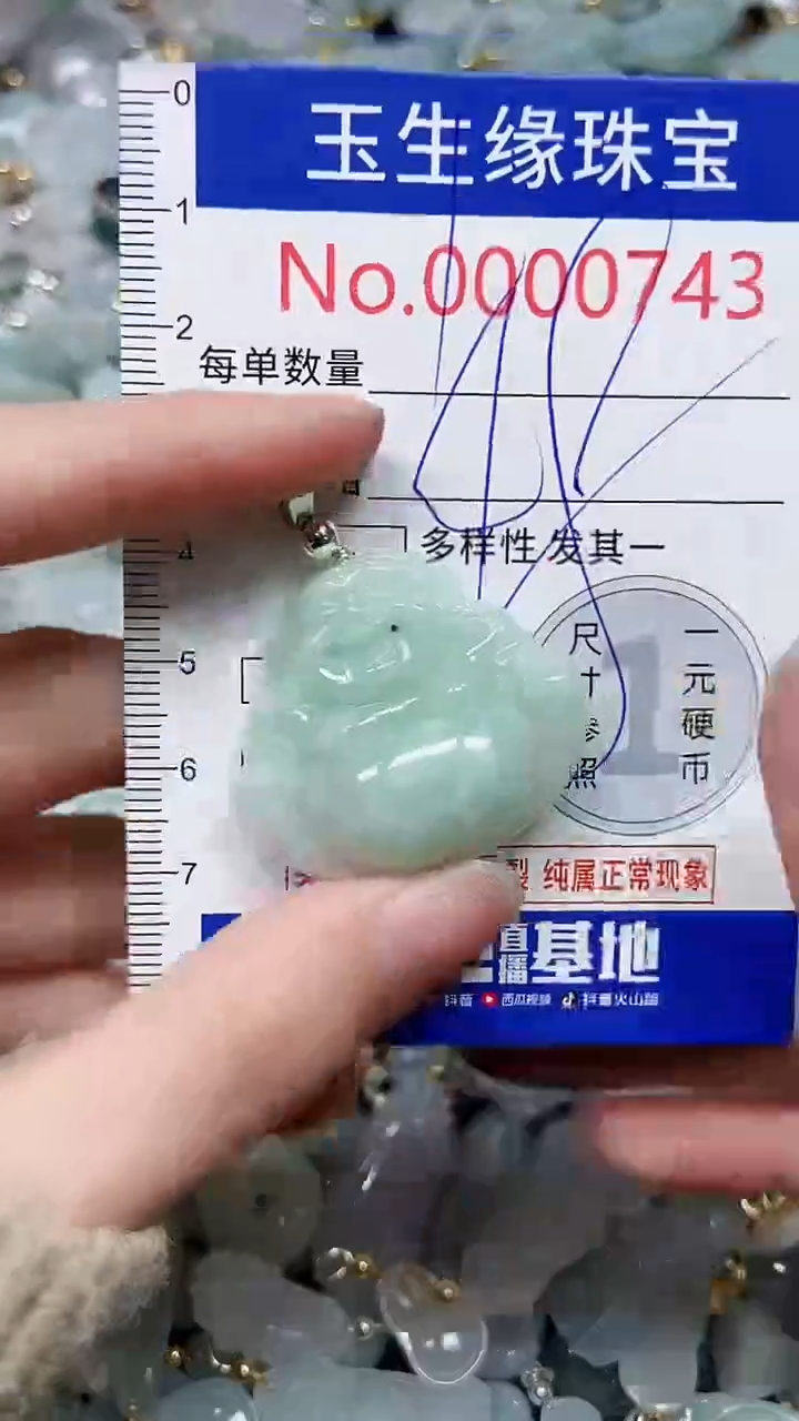 【闪购商品】翡翠颈饰未镶嵌闪购00000743