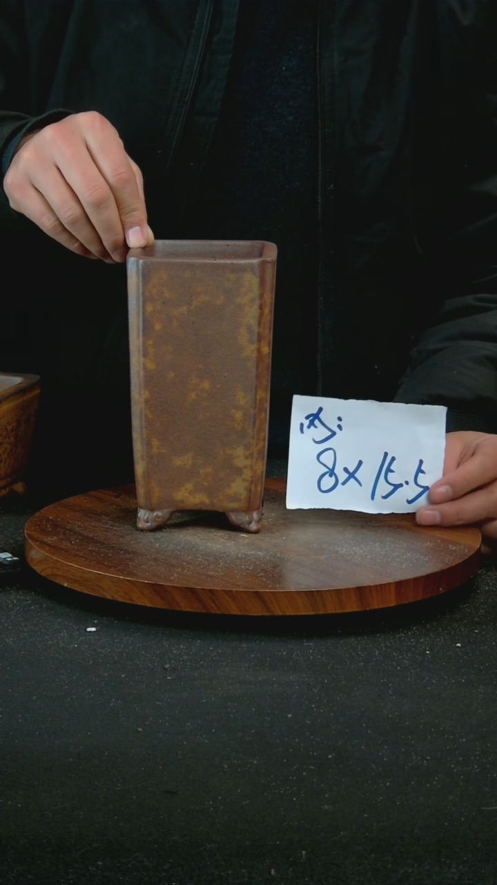 【闪购商品】紫砂T21