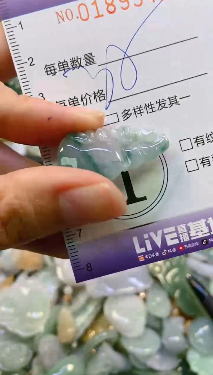 翡翠未镶嵌颈饰闪购0189941