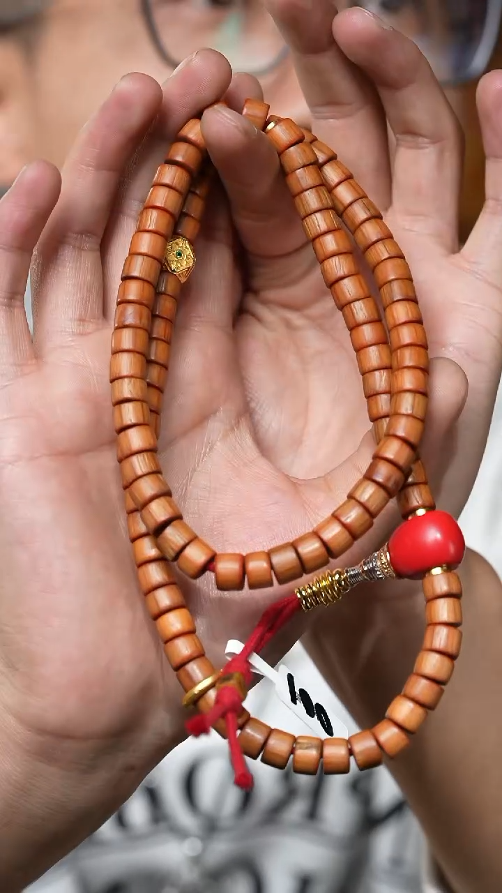 【闪购商品】六道木（多样性发货，发其一）