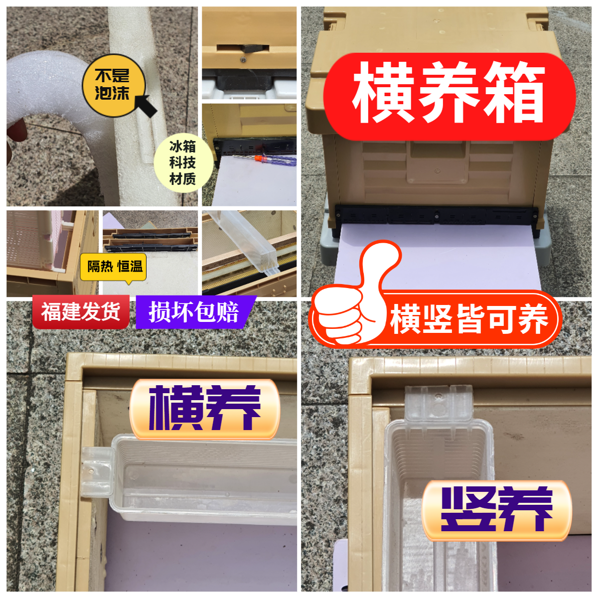 横养箱中蜂多功能高级塑料隔热蜂箱标准十框防霉防潮防寒意蜂通用
