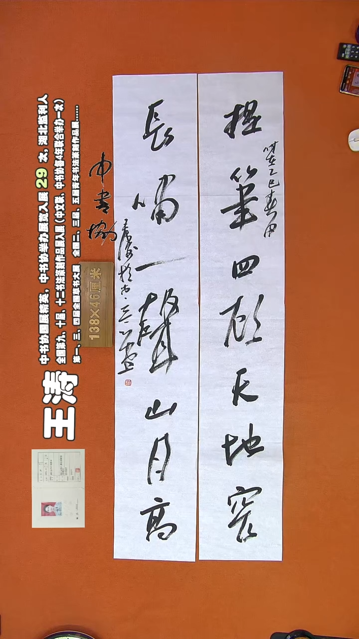 【闪购商品】书法791王涛书法作品