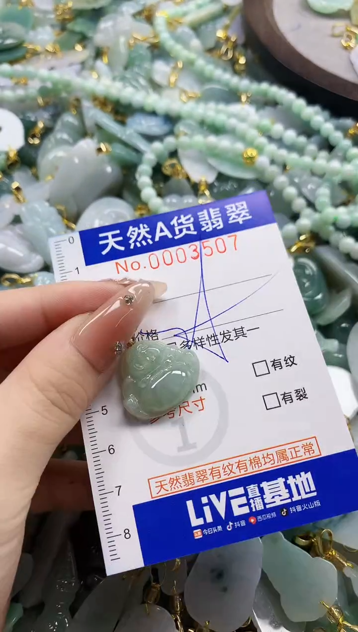 颈饰未镶嵌翡翠天然A货翡翠