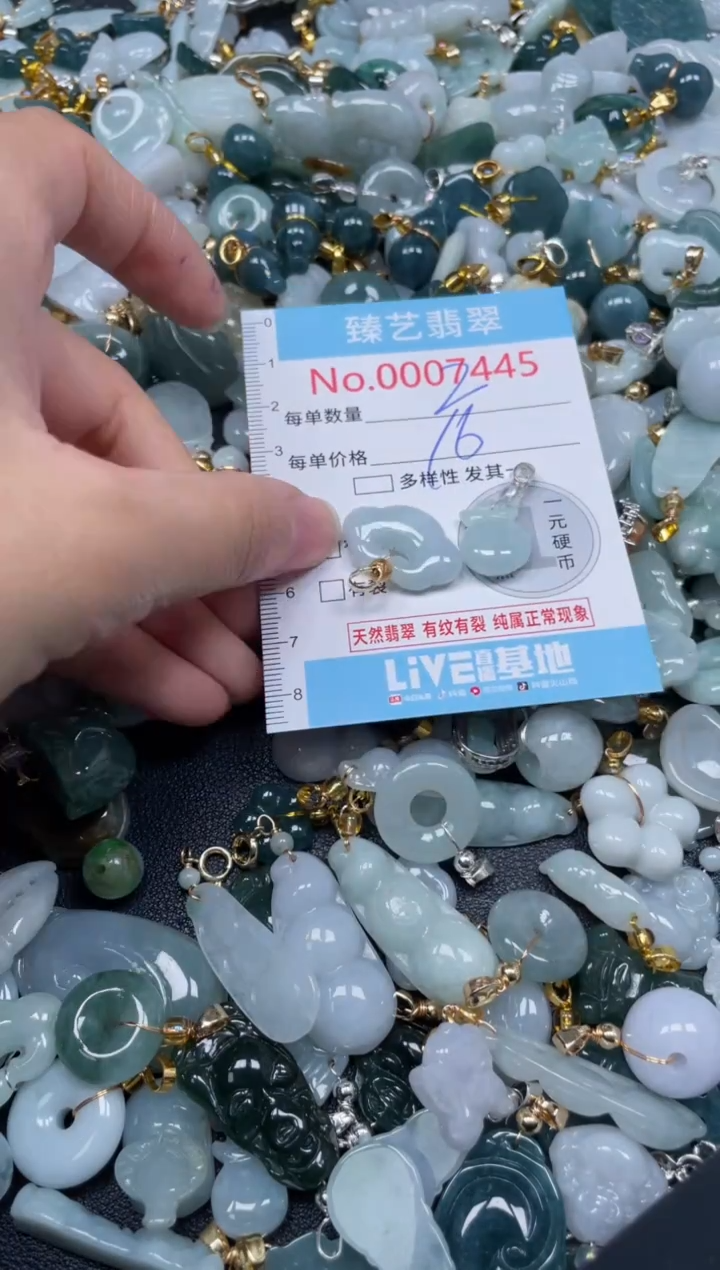 颈饰未镶嵌翡翠7445