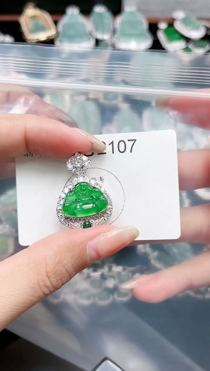 【闪购商品】翡翠颈饰未镶嵌赠皮绳2107