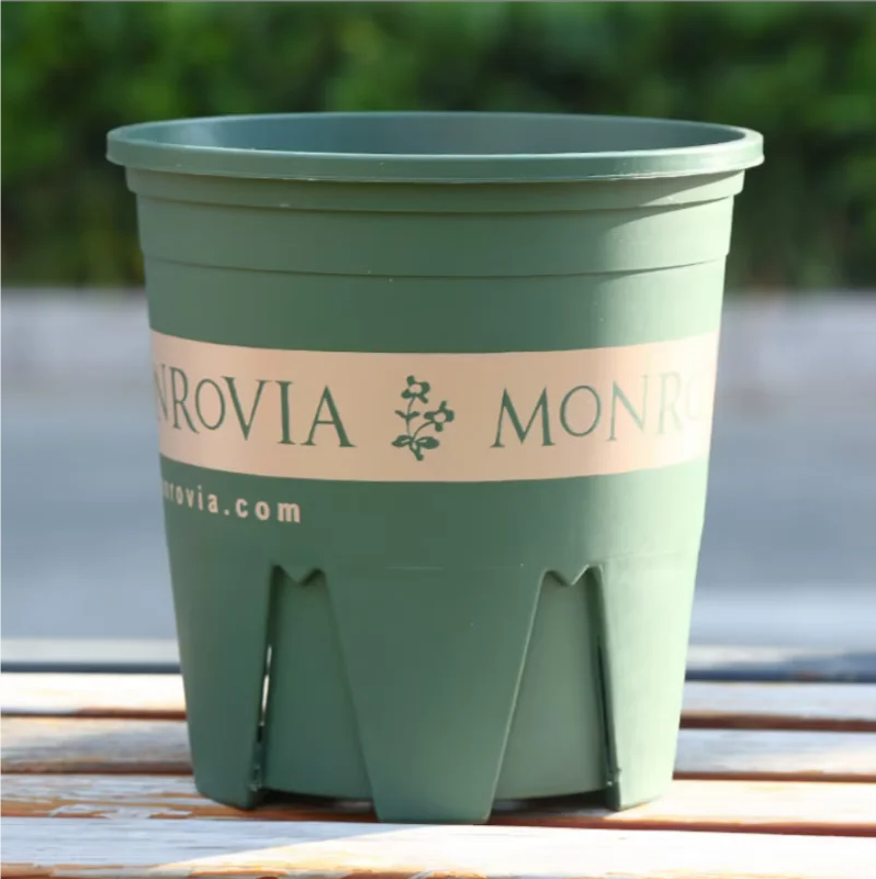 【一加仑盆】塑料花盆适合种植多肉月季等绿植不带底托
