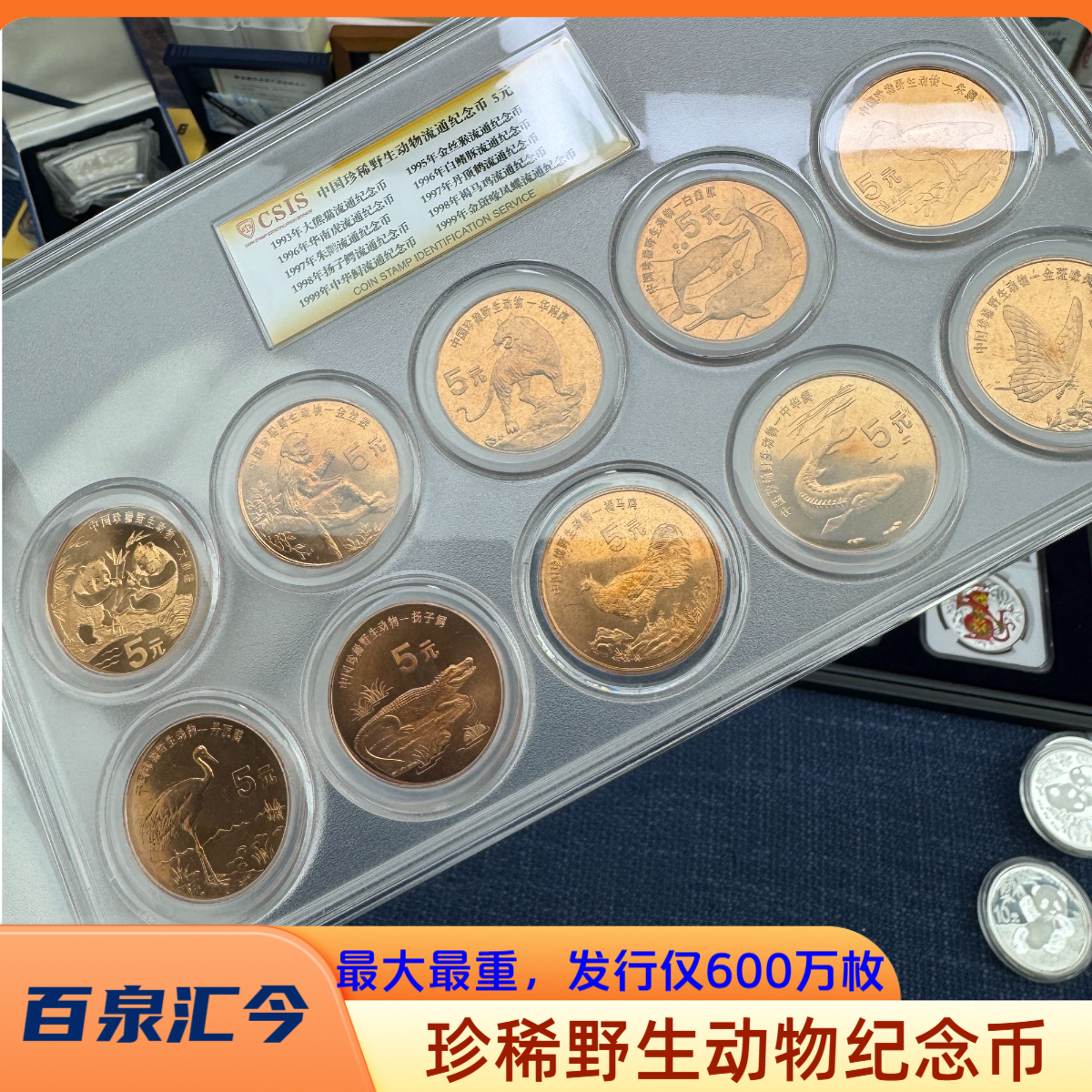 法定货币珍稀野生动物纪念币，紫铜材质