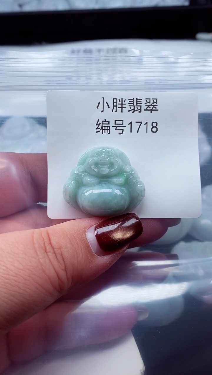 颈饰未镶嵌翡翠缅甸天然A货翡翠1718