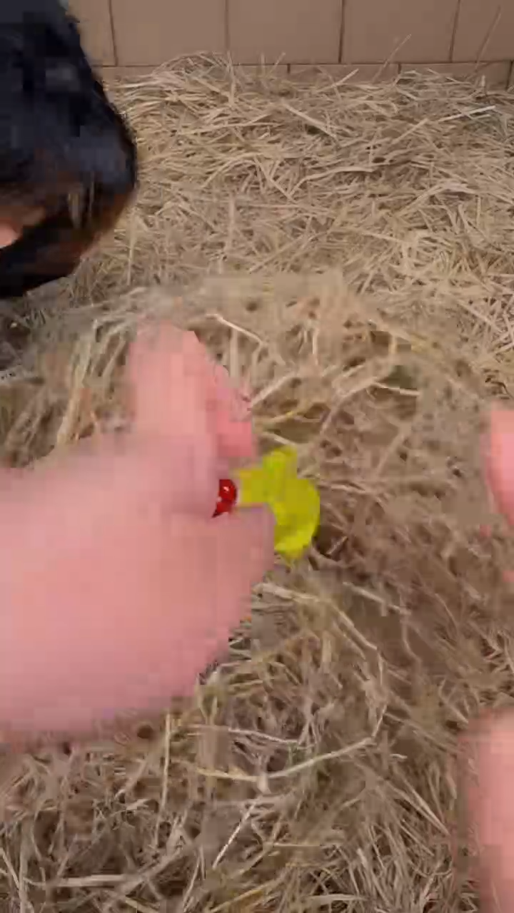 天然辰砂戈月甄选闪购精品手串无礼盒