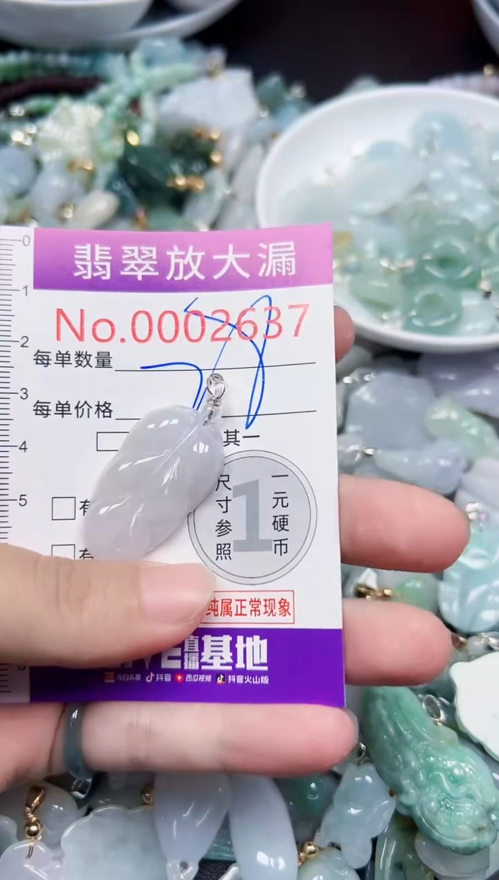 颈饰未镶嵌翡翠2637