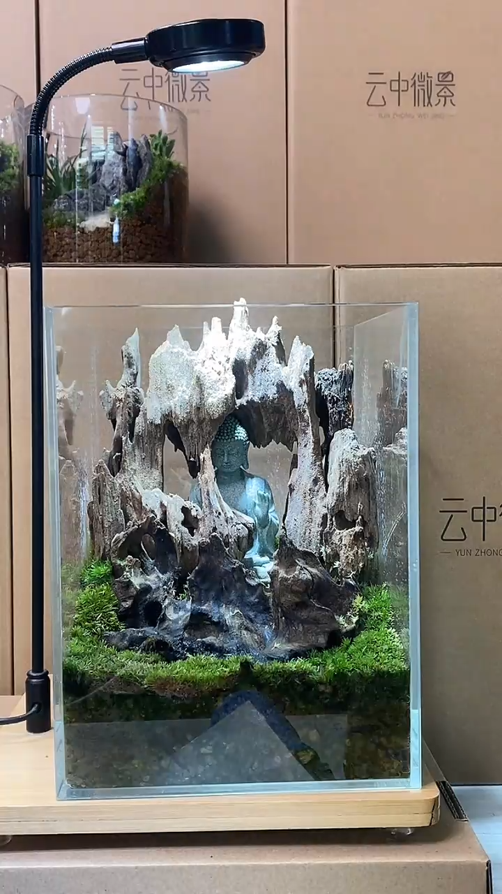 【闪购商品】孤品方缸微景观