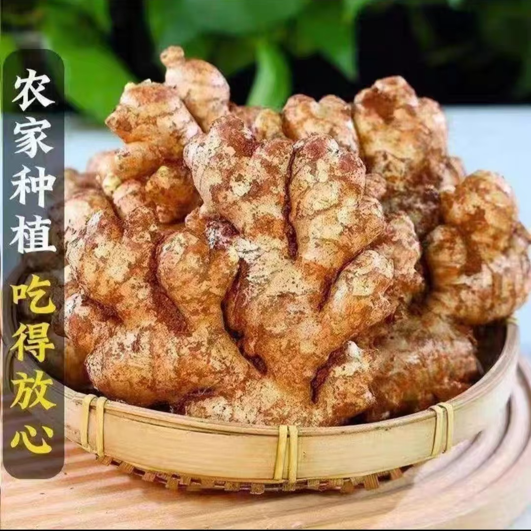 云南小黄姜新鲜山地老姜姜味浓郁