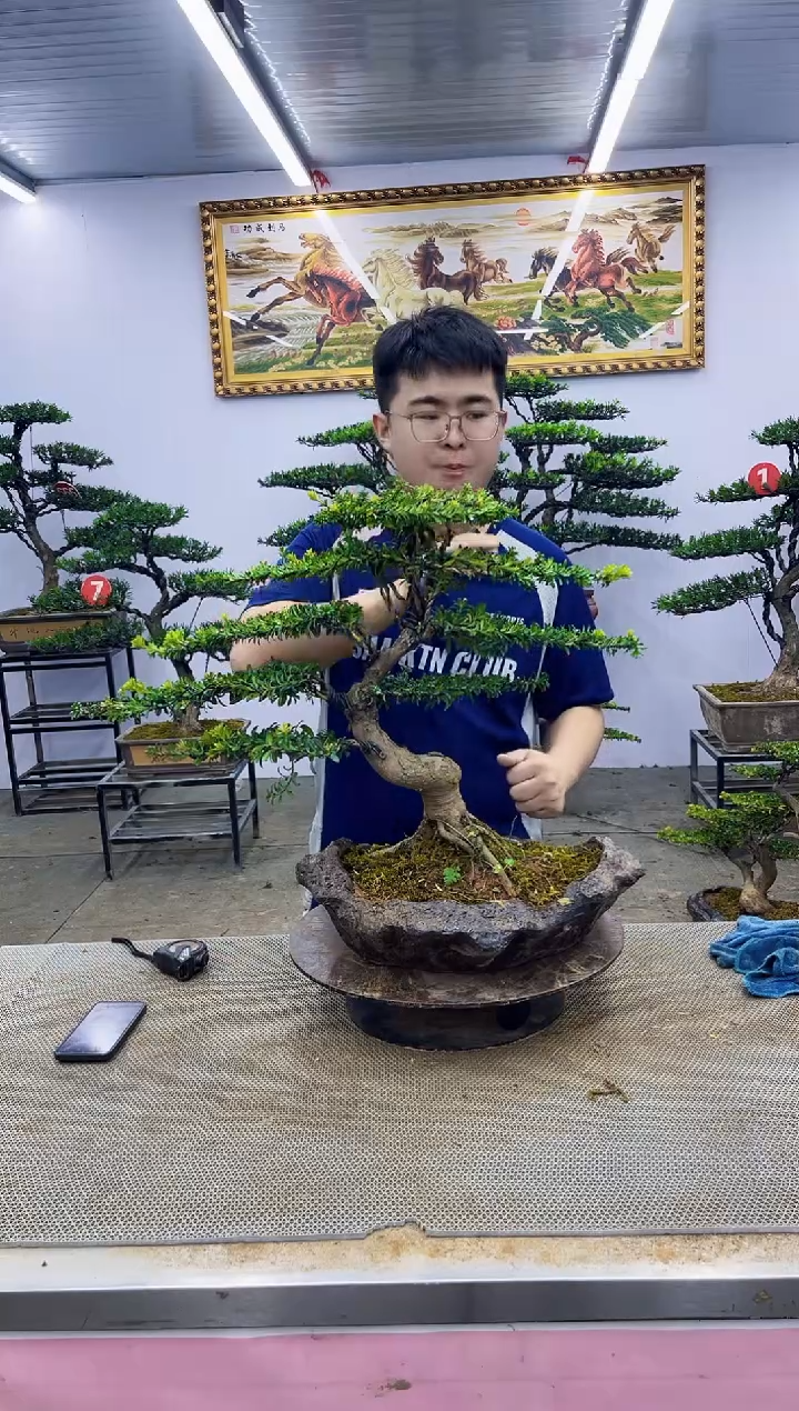 无花朵一物一拍，所见即所得