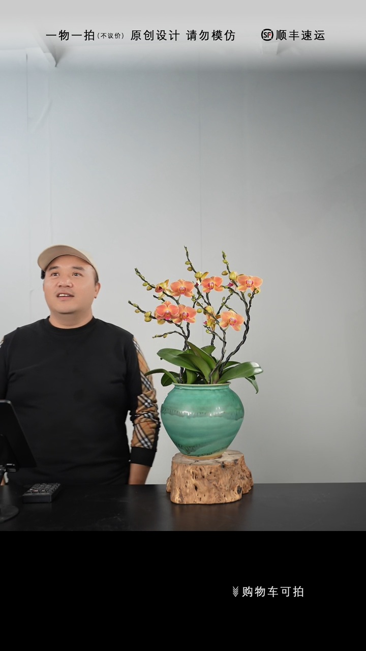 【闪购商品】063号链接【一物一拍】艺术盆景