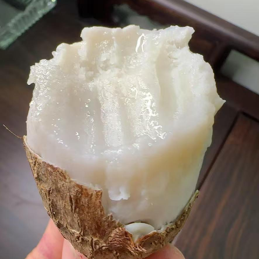 山东应季新鲜现挖牛奶小芋头香芋粉糯拉丝香甜可作粗粮蔬菜