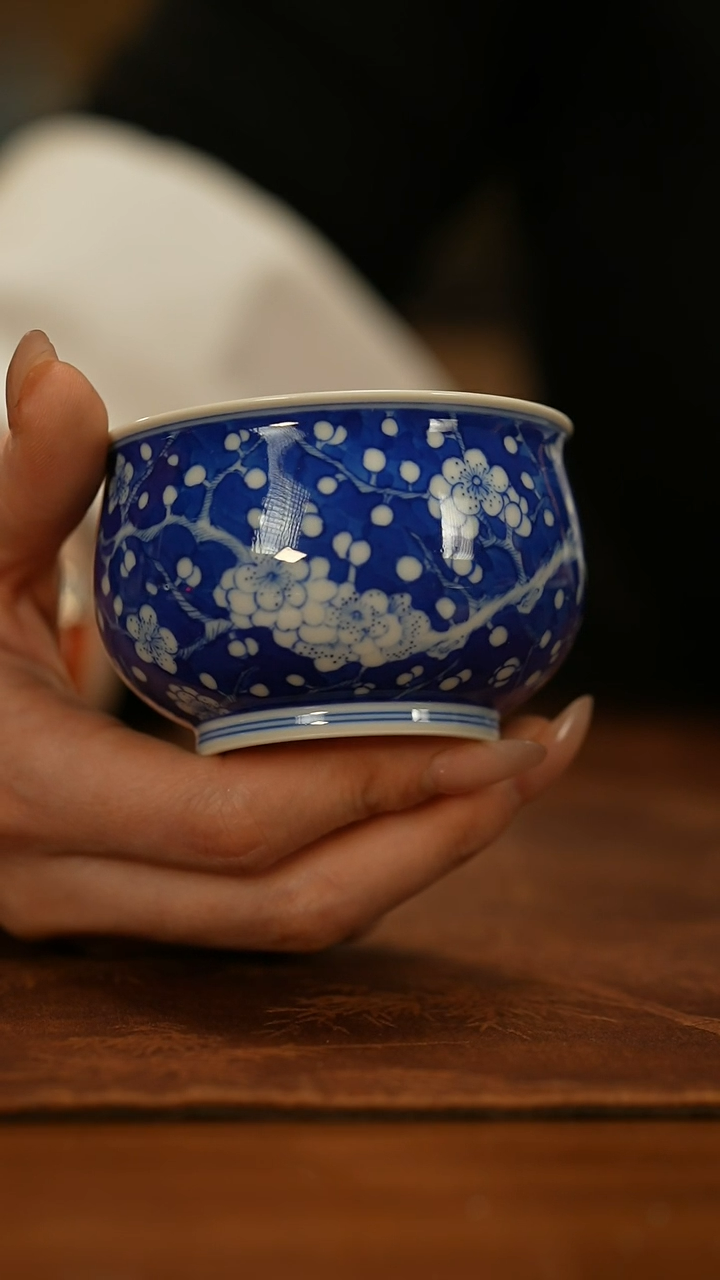 【闪购商品】瓷片春生              