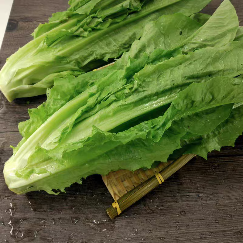 新鲜油麦菜 500g 新疆油麦菜