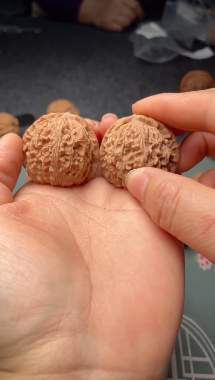 把件文玩核桃w244  白狮子38尺