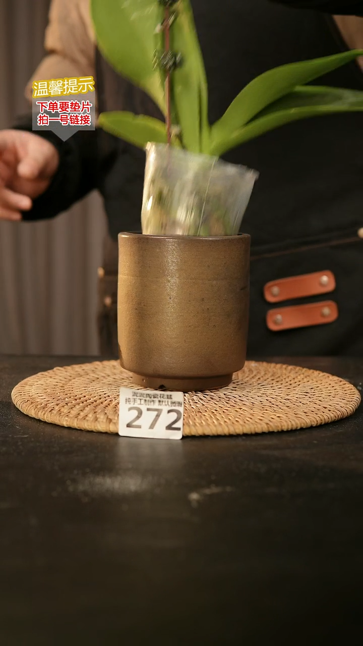 瓷片272内口径约8  外高约11