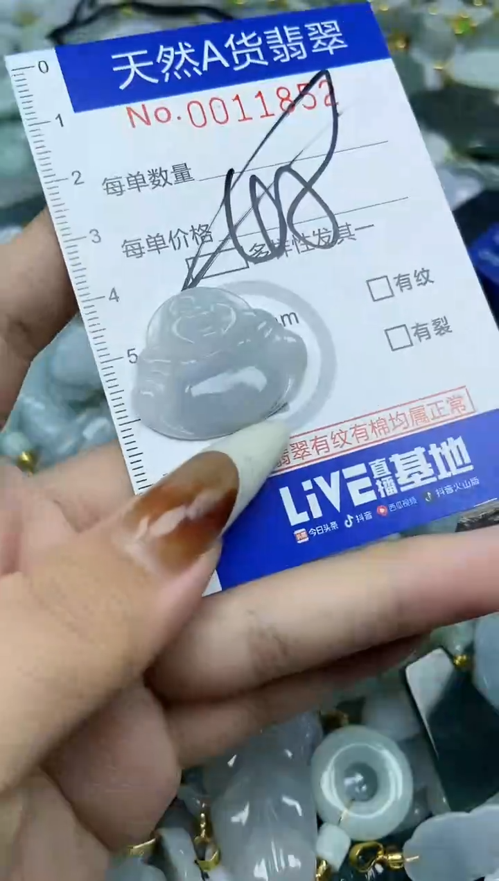 【闪购商品】翡翠颈饰未镶嵌天然A货翡翠