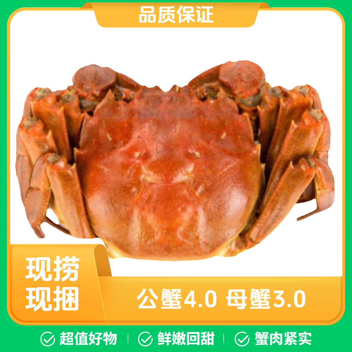 鲜活大闸蟹 公蟹4.0两 母蟹3.0两 各5只一共10只