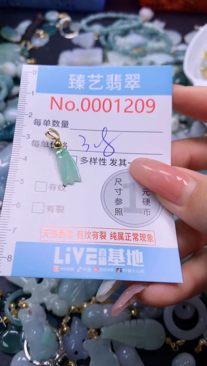 翡翠未镶嵌吊坠(不含链)1209