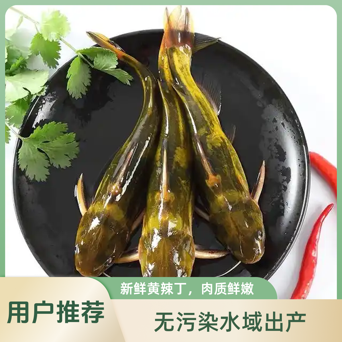 新鲜黄辣丁250g（默认宰杀）