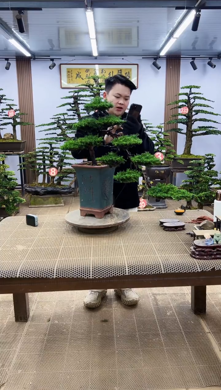 【闪购商品】00000000