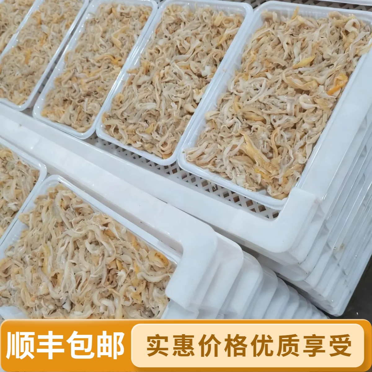 渤海湾烟台养马岛本地港湾贝现括扇贝裙边新鲜清理干净