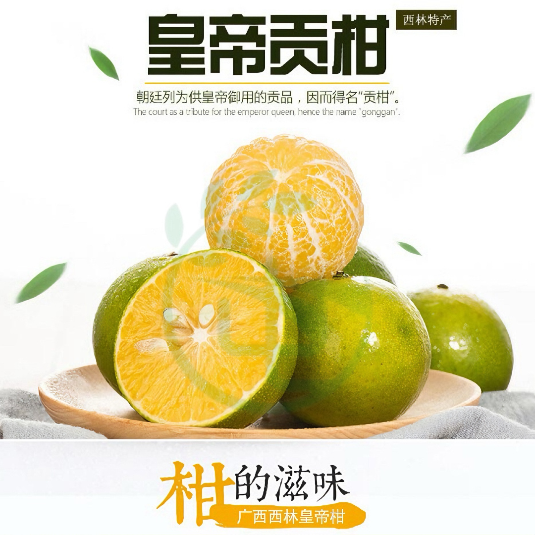 【正宗广西西林皇帝柑】新鲜采摘薄皮多汁贡柑橘子当季4斤10斤
