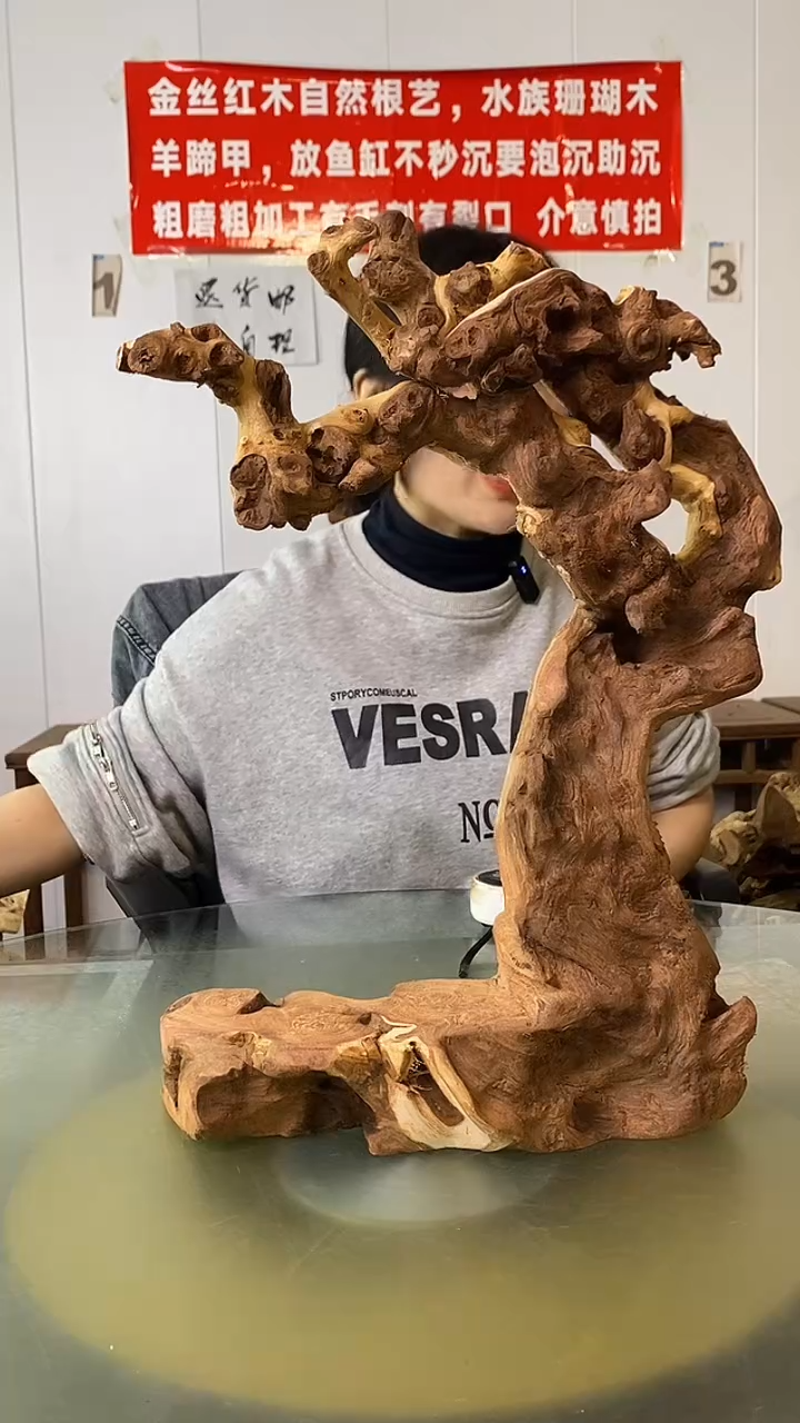 木冬金丝红木  羊蹄甲