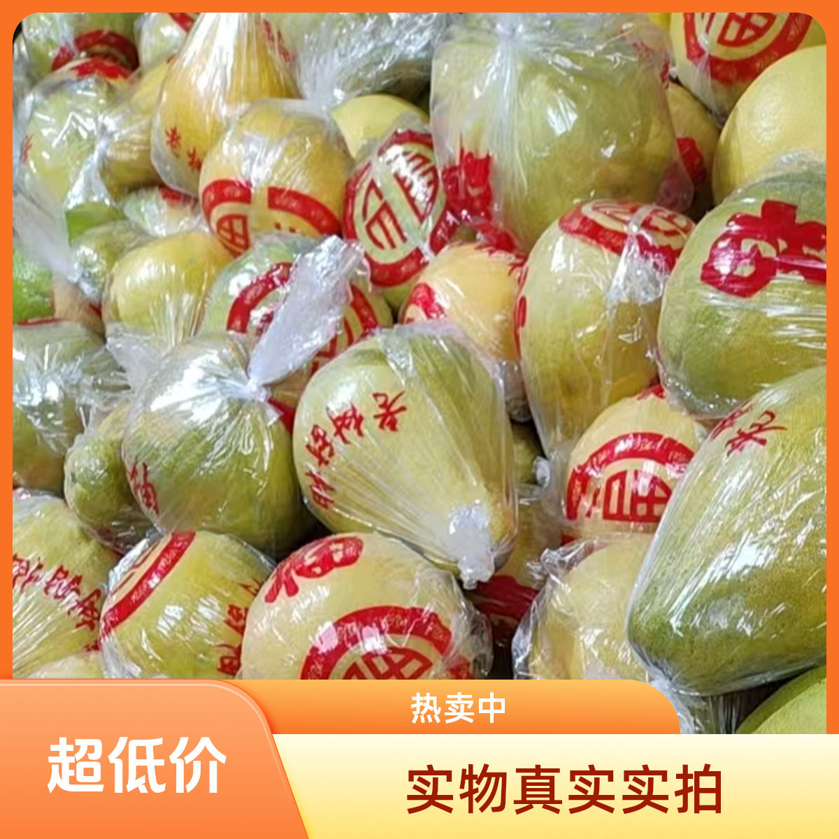 广东梅州沙田柚【套袋老树果】当季新鲜孕妇水果新年囤货装