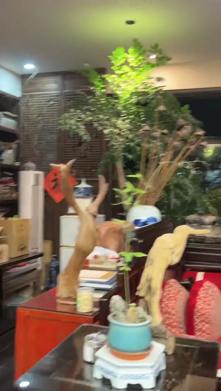 【闪购商品】书法预定链接 惠风和畅 软片