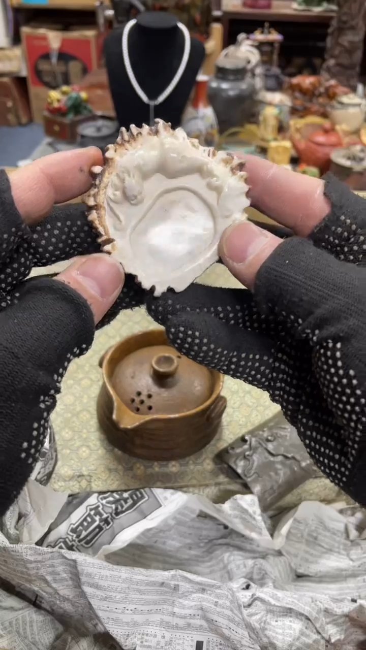 【闪购商品】杯瓷瓷瓷瓷瓷瓷瓷瓷瓷