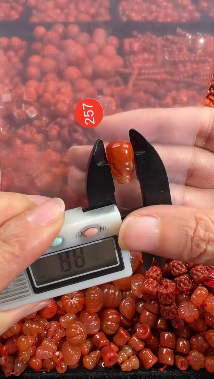 南红玛瑙未镶嵌颈饰1